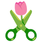 Tulpe + Schere