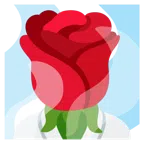 rosa + aguas termales