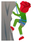 rosa + montaña