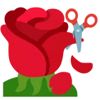 rosa + tijeras