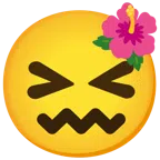 flor de hibisco + cara de frustración