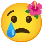 flor de hibisco + cara llorando