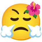 flor de hibisco + cara resoplando