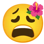 flor de hibisco + cara agotada