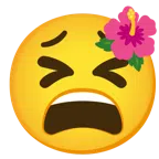 flor de hibisco + cara cansada