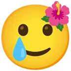 flor de hibisco + cara sonriente con lágrima
