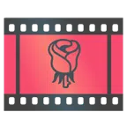 pellicola cinematografica + rosa