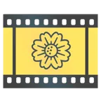 pellicola cinematografica + fiore