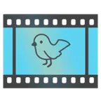 pellicola cinematografica + uccello