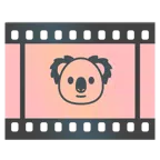 pellicola cinematografica + koala