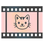 pellicola cinematografica + muso di gatto