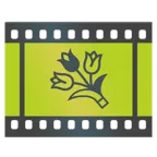pellicola cinematografica + mazzo di fiori