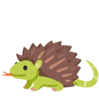 Schlange + Igel