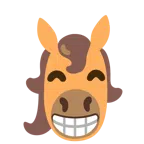 Pferd + strahlendes Gesicht mit lachenden Augen