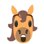 Pferd + erstauntes Gesicht
