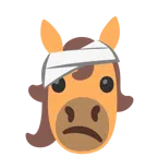 Pferd + Gesicht mit Kopfverband