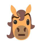 Pferd + Gesicht mit hochgezogenen Augenbrauen