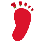 huellas de pies + rosa