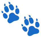 huellas de pies + caniche