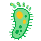 huellas de pies + microbio