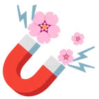 calamita + fiore di ciliegio