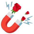 calamita + rosa