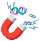 calamita + dna