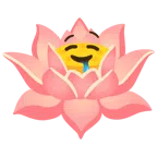 Lotusblüte + sabberndes Gesicht