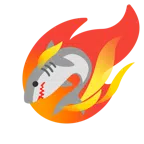 Komet + Hai