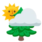 Sonne hinter Wolke + Nadelbaum