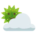 Sonne hinter Wolke + Kaktus