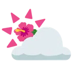 Sonne hinter Wolke + Hibiskus