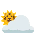 Sonne hinter Wolke + Tigergesicht
