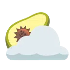 Sonne hinter Wolke + Avocado