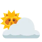 Sonne hinter Wolke + Waschbär