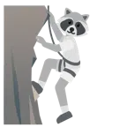 Berg + Waschbär