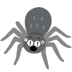 rotes Ausrufezeichen + Spinne