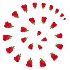 Wirbel + Rose