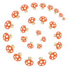 Wirbel + Fliegenpilz