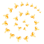 Wirbel + Banane