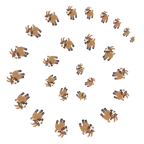 Wirbel + Ziege