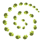 Wirbel + Schildkröte