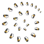Wirbel + Pinguin