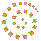 Wirbel + Blumenstrauß