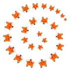 Wirbel + Fuchs