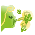 Wind + Kaktus