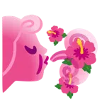 Wind + Hibiskus