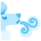 Wind + Pudel