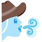 Wind + Gesicht mit Cowboyhut