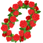 flor de hibisco + rosa
